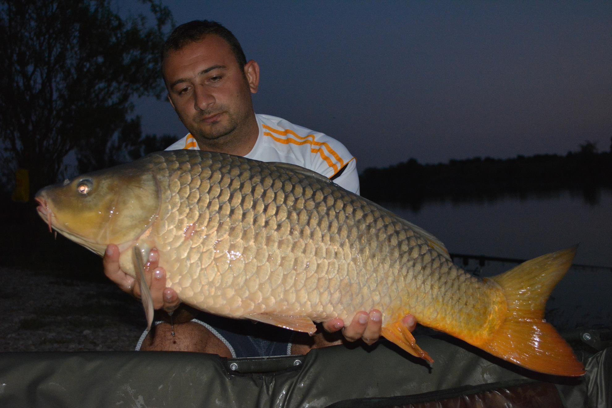 Hermes Peris 22-24.08.15 - dsc0218.JPG